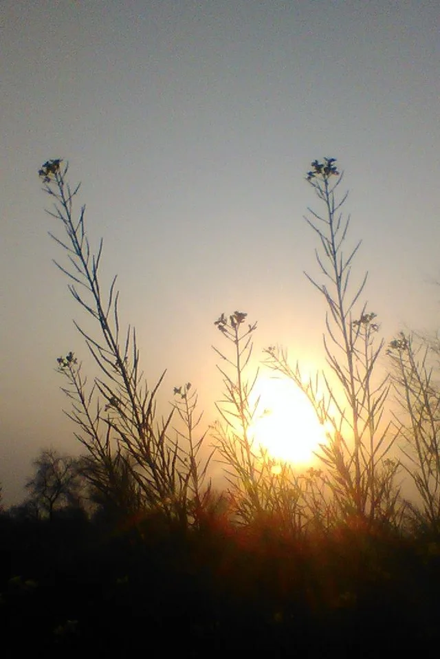 Sunset lover