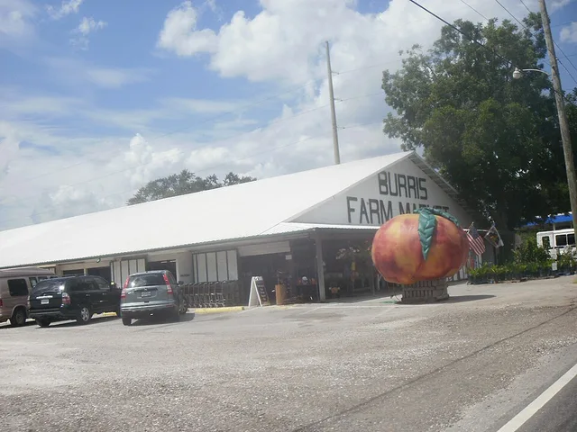 Burris Farm Market Located in Loxley,Alabama