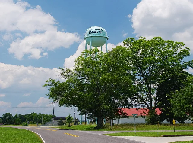 Water tower in Sylvania, Alabama, United States. Blue Pond Boulevard is on the lower left.