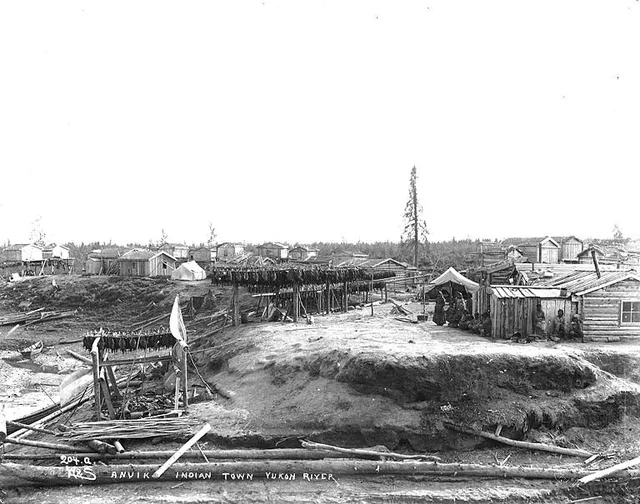 Ingalik Indian village of Anvik located on the right bank of the Yukon River at the mouth of the Anvik River. Shows fish drying racks . Caption on image: "Anvik Indian town Yukon...
