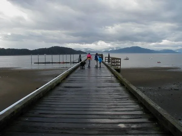 The dock is a central part of the economy and social life of Gustavus, Alaska . In the summer, whale watching trips and sport fishing vessels all arrive and depart from here. As t...