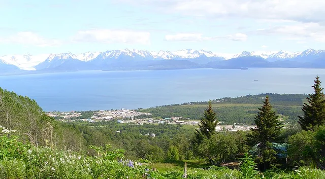 Kachemak City and Miller Landing, Alaska, seen from hilltop at about 1,000 ft