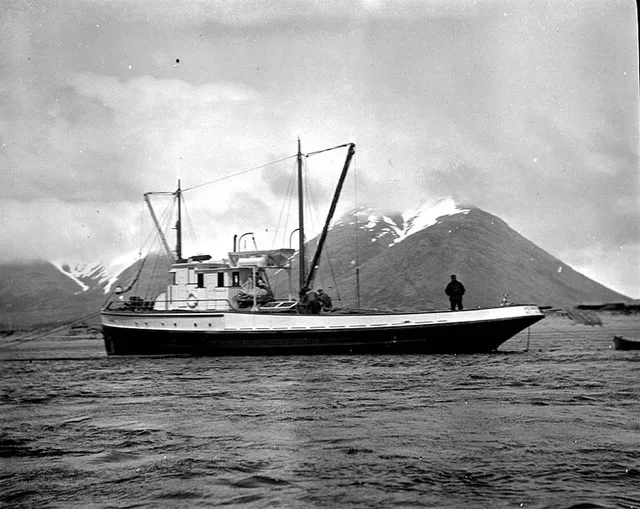 From John Cobb field notebook: Pacific American Fisheries cannery tender Kenmore, King Cove, Alaska. May 1912 Subjects (LCTGM): Ships--Alaska--King Cove Subjects (LCSH): Kenmore (...