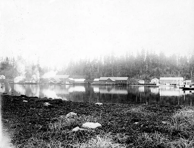 On verso of image: Klawack, Alaska. North Pacific Trading and Packing Co. ? In Folder 69 Subjects (LCTGM): Canneries--Alaska--Klawak Subjects (LCSH): Salmon canning industry--Alas...