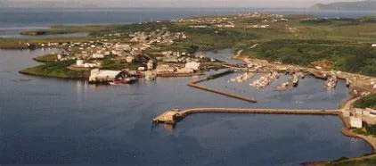 Sand Point, Alaska This is a picture I took of the southern end of the town. It shows the boat harbor, which is vital to the towns economy.