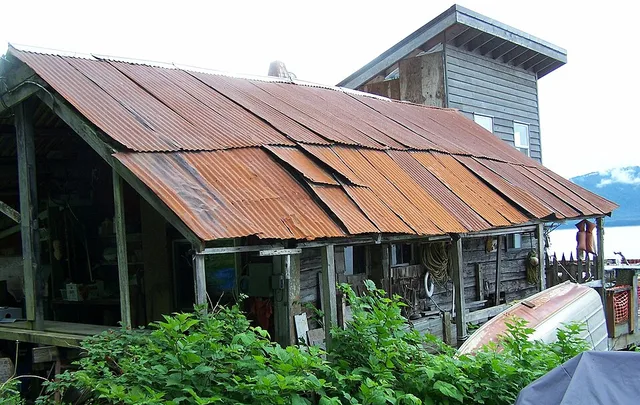 Tenekee Springs waterfront building, rusty corrugated iron roof with some cornewrs loose.