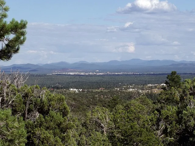 Photograph of the city of Show Low , Arizona taken from the northwest hills in the unincorporated area of Linden .