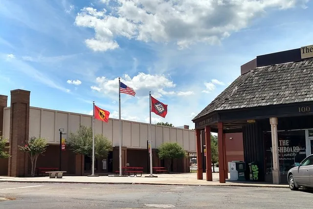 Flags in downtown Cabot
