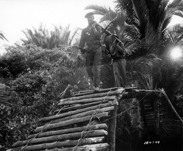 SC 184799 - Pvt. James W. Davis of Datto, Arkansas, and Pvt. Finis Houser of Houston, Texas, linemen carrying an 80lb reel of field wire over a bridge on New Guinea.