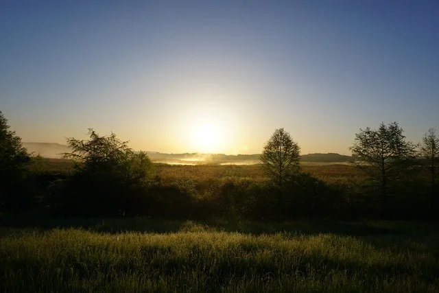 Morning in Arkansas