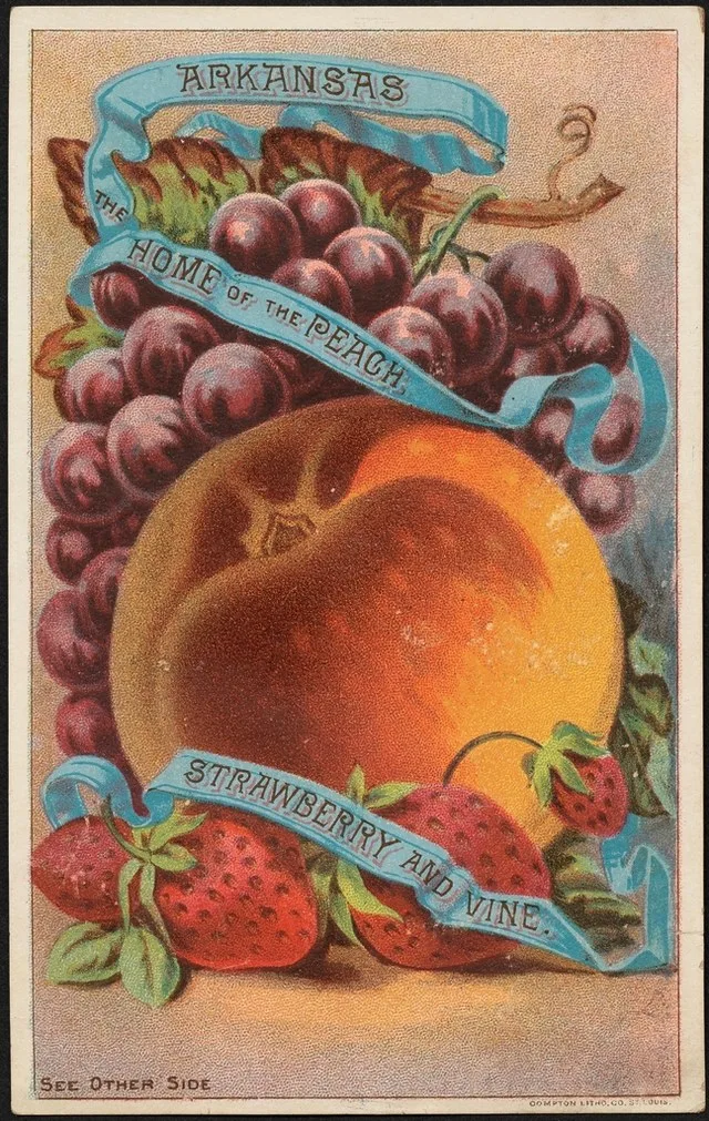 Arkansas, home peach, strawberry vine