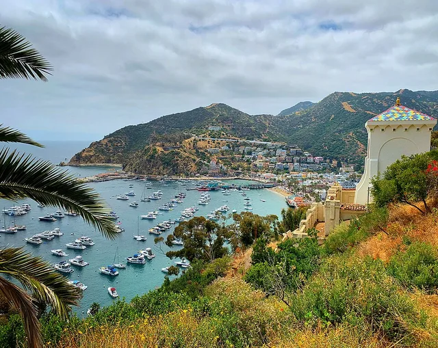 Cloudy day view of Avalon Harbor with boats from behind the Chimes Tower, established in 1925.