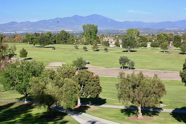 Photograph of golf course at Laguna Woods Village. Photo taken from clubhouse.