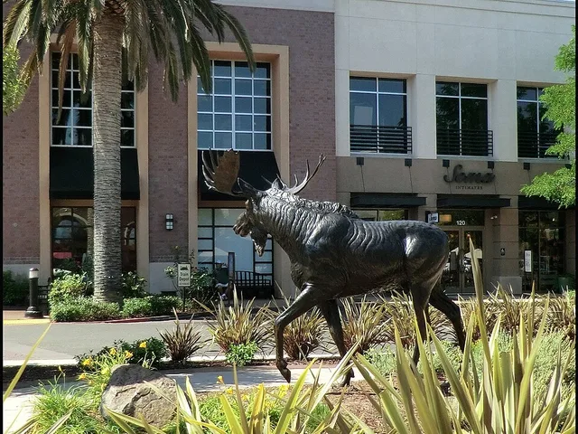 Roseville, CA 391