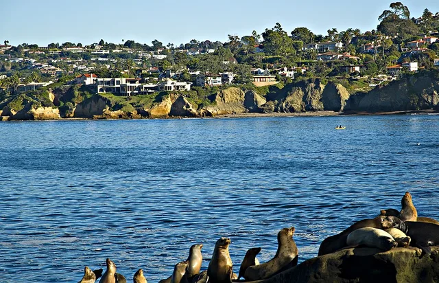 La Jolla Shores CA view. Sea lions in the foreground. Pacific Ocean Dec 2011 California Beach