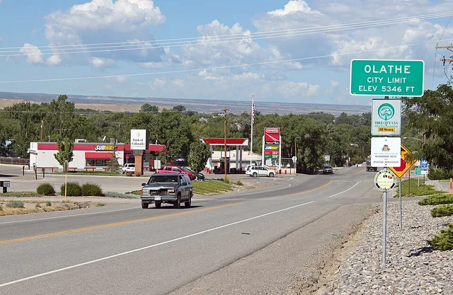 The town of Olathe, Colorado.