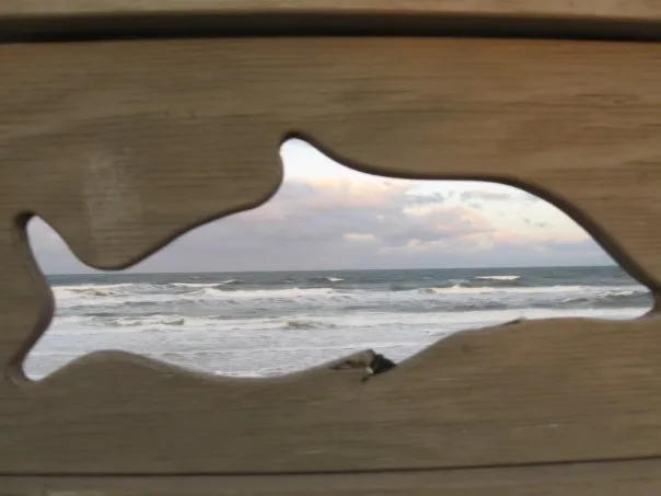 Photo of beach in Marineland