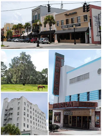 Photos I took in Ocala.