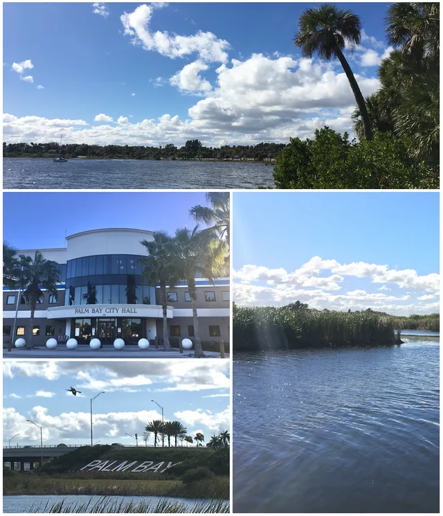 Photos I took in Palm Bay, Florida.