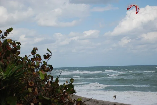 Palm beach