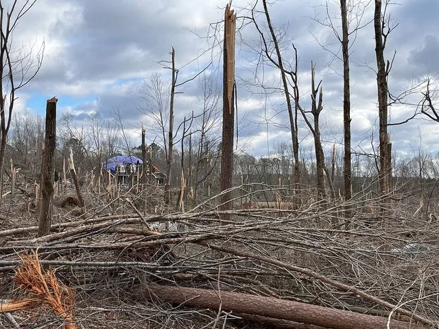 Extensive tree damage near East Griifin, Georgia