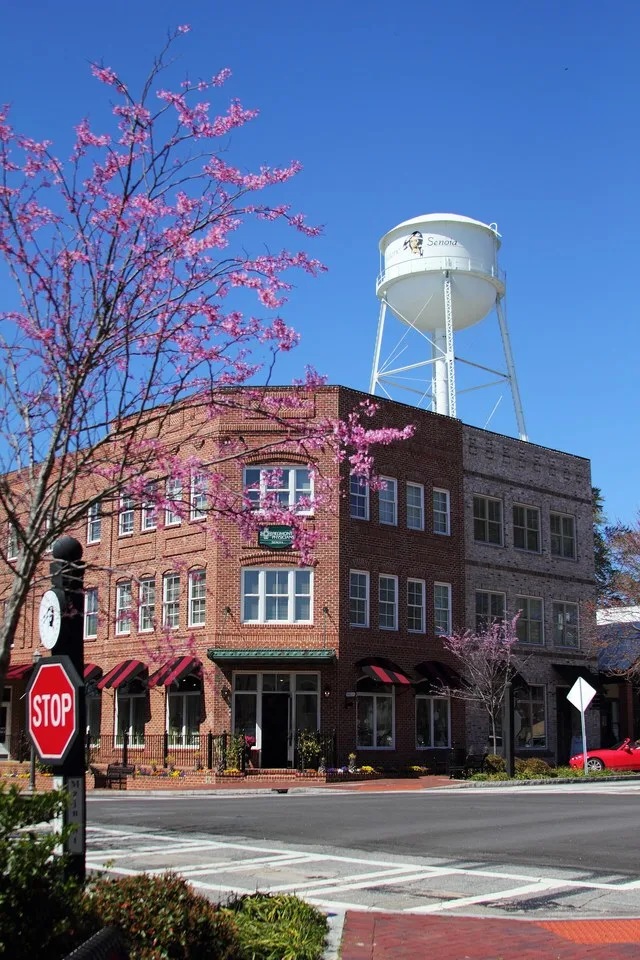 Downtown Senoia, Georgia