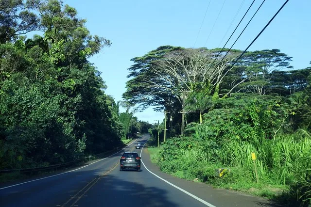HI50 West - Downhill Curve Near Puhi