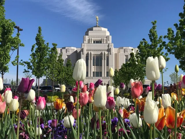 Meridian Idaho Temple Spring