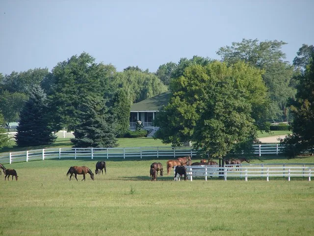 Horse farm in Barrington Hills, Illinois .