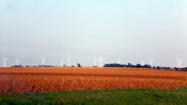 A view of the Crescent Ridge Wind Farm from Bradford, IL farmhouse over a grain field