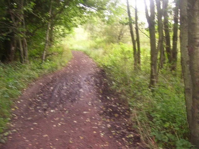 Dalzell Park path