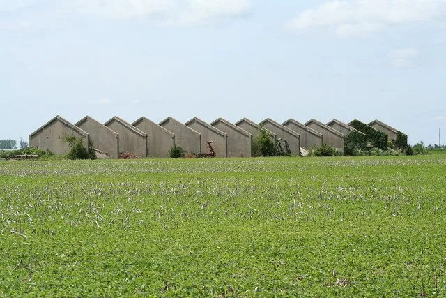 Sangamon_Ordnance_Plant_ruins