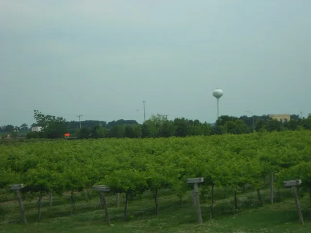 Aquaviva Winery, Maple Park, Illinois