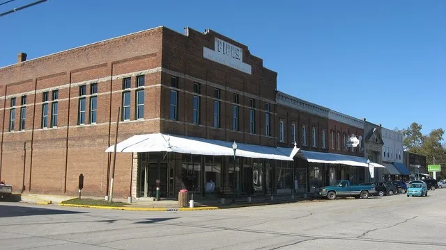 Buildings on the western side of the 100 block of S. Main Street in Palestine , Illinois , United States . This block is part of the Palestine Commercial Historic District , a his...
