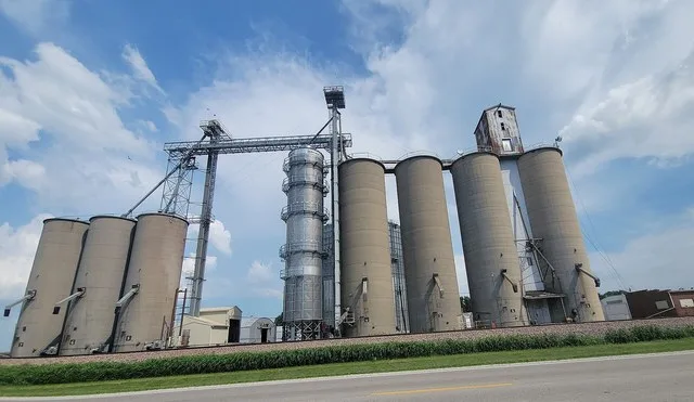 Assumption Cooperative Grain Company elevator in Palmer , in Bear Creek Township, Christian County, Illinois .