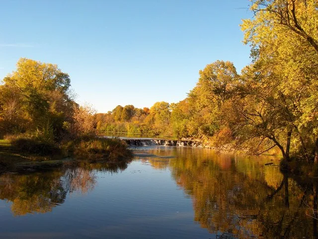 I took this photo at Warrenville Grove Forest Preserve in October, 2005