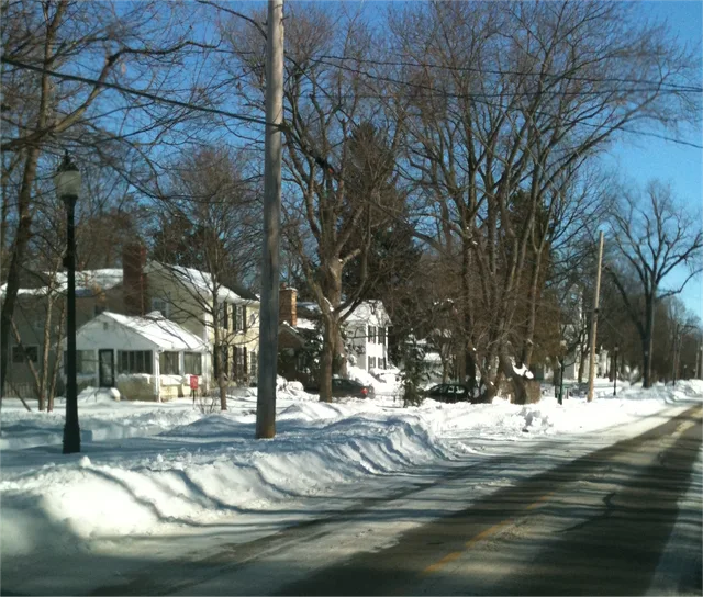 Village of Wayne Illinois looking east on Army Trail about 50 yards east of Railroad Street on 03Feb2011