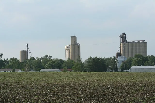 Weldon, Illinois Water tower and Grain Elevators.