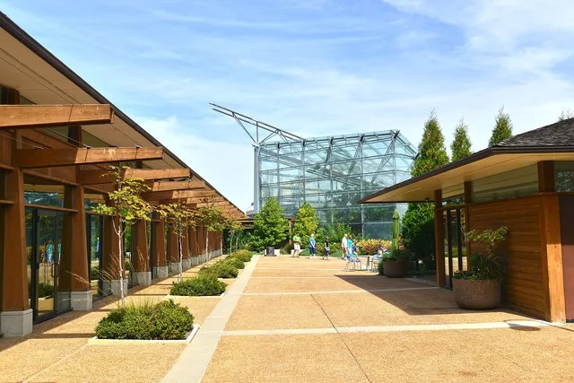 Iowa State University
