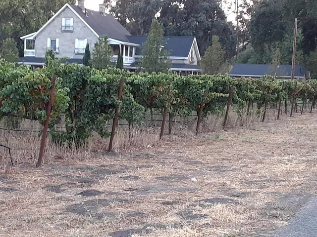 3903 Green Valley Rd, Fairfield, CA 94534