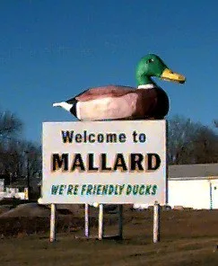 Mallard, IA city image