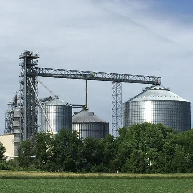 Nemaha, Iowa #nemaha #iowa 175/365 #project365 #365
