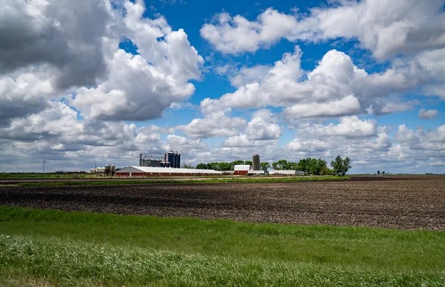Farms and Crops in Whittemore Iowa