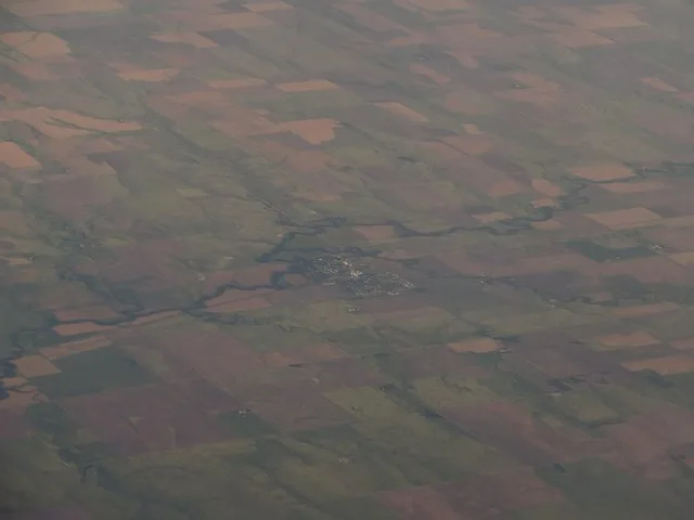 Bazine is a city in Ness County, Kansas, United States. As of the 2010 census, the city population was 334. Bazine was a station and shipping point on the Atchison, Topeka and San...