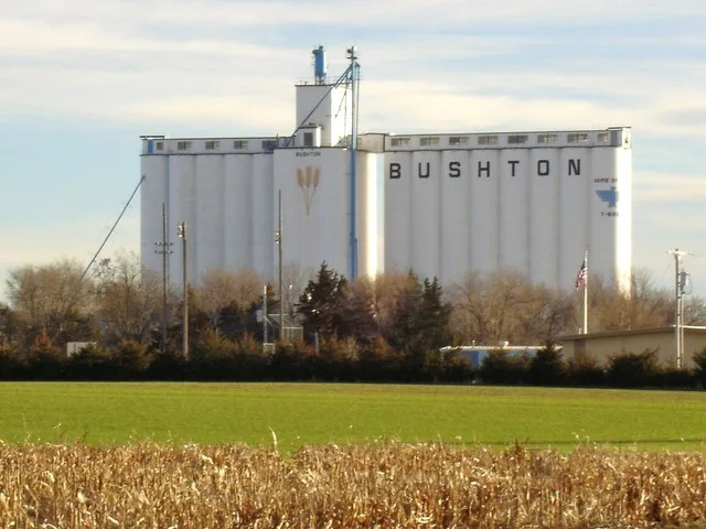 These are the grain elevators in Bushton, Kansas .