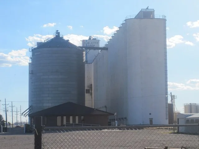 I took photo with Canon camera in Sublette, KS.