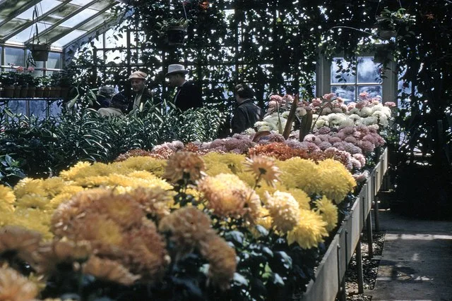 US LA Florien - Hodges Gardens greenhouse nd