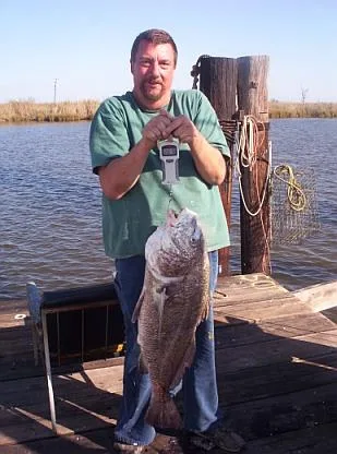 Big Black Drum at the dock in Golden Meadow. I have lost 20# since this was taken. The fish has lost 25#. ;)