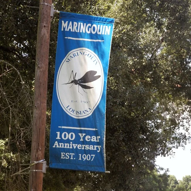Bannière célébrant les 100 ans de Maringouin (synonyme de moustique) en Louisiane.