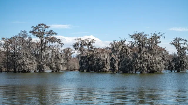 USA - Louisiana - Lake Martin